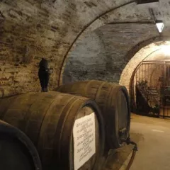 Les meilleurs éclairages pour votre cave voûtée